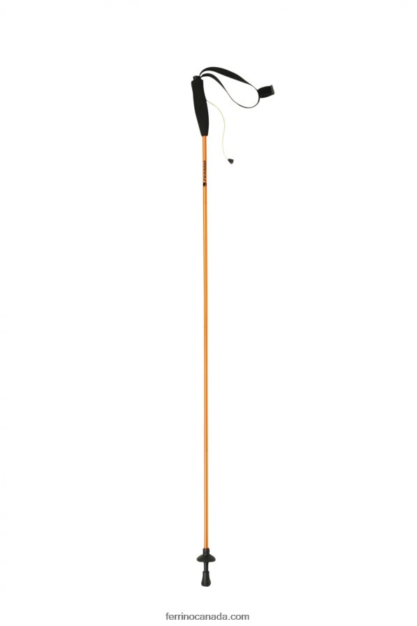 Ferrino Unisex STICK EIGER CM.115 (PAIR) 8RV8VL575
