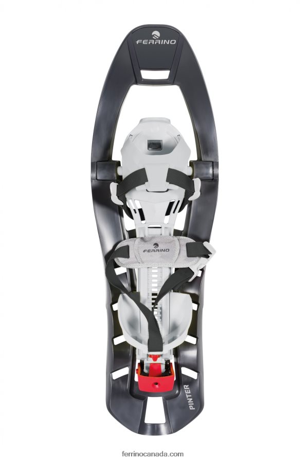 Ferrino Unisex SNOWSHOES PINTER CASTOR 8RV8VL633