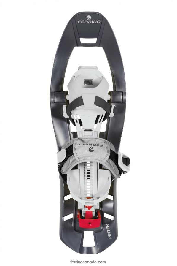 Ferrino Unisex SNOWSHOES PINTER SPECIAL 8RV8VL636